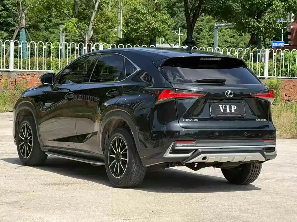 LEXUS NX 2020