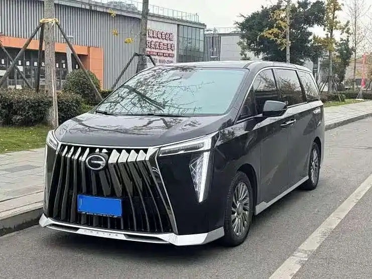 Аукционный лист TRUMPCHI M8 2023