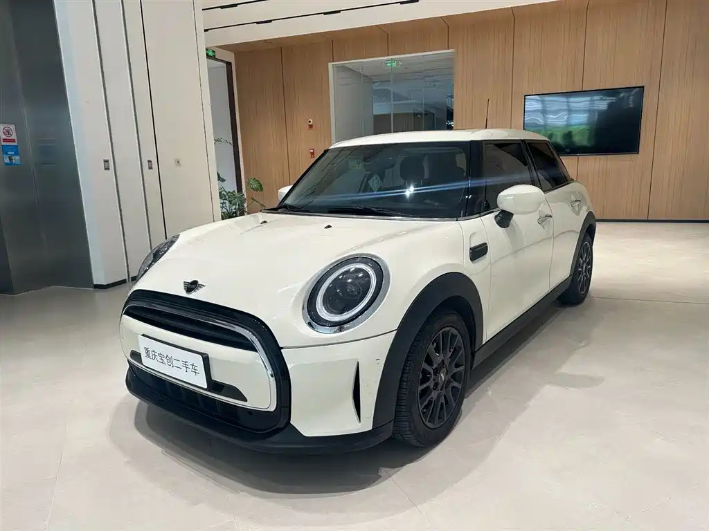 MINI OTHER 2021
