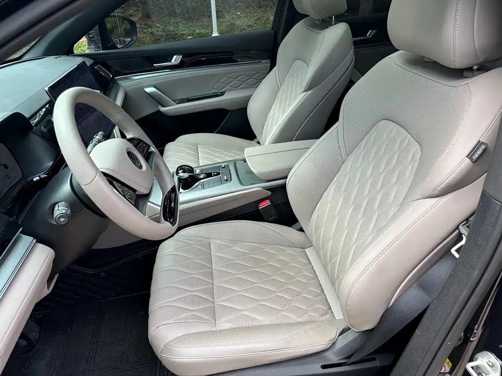 BYD TANG NEW ENERGY 2024