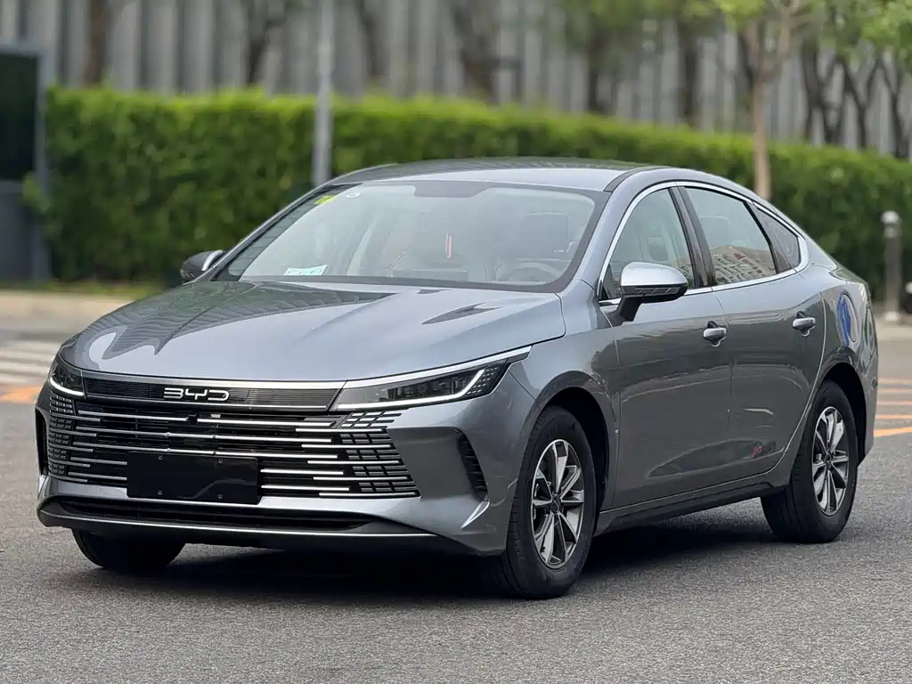 BYD DESTROYER 05 2024