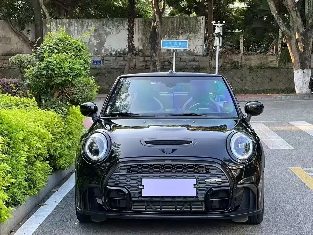 MINI OTHER 2022