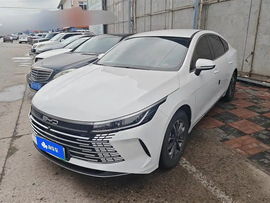 BYD DESTROYER 05 2024