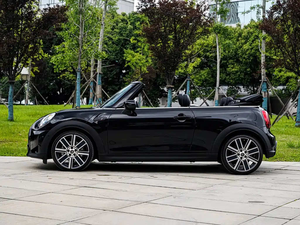 MINI OTHER 2023