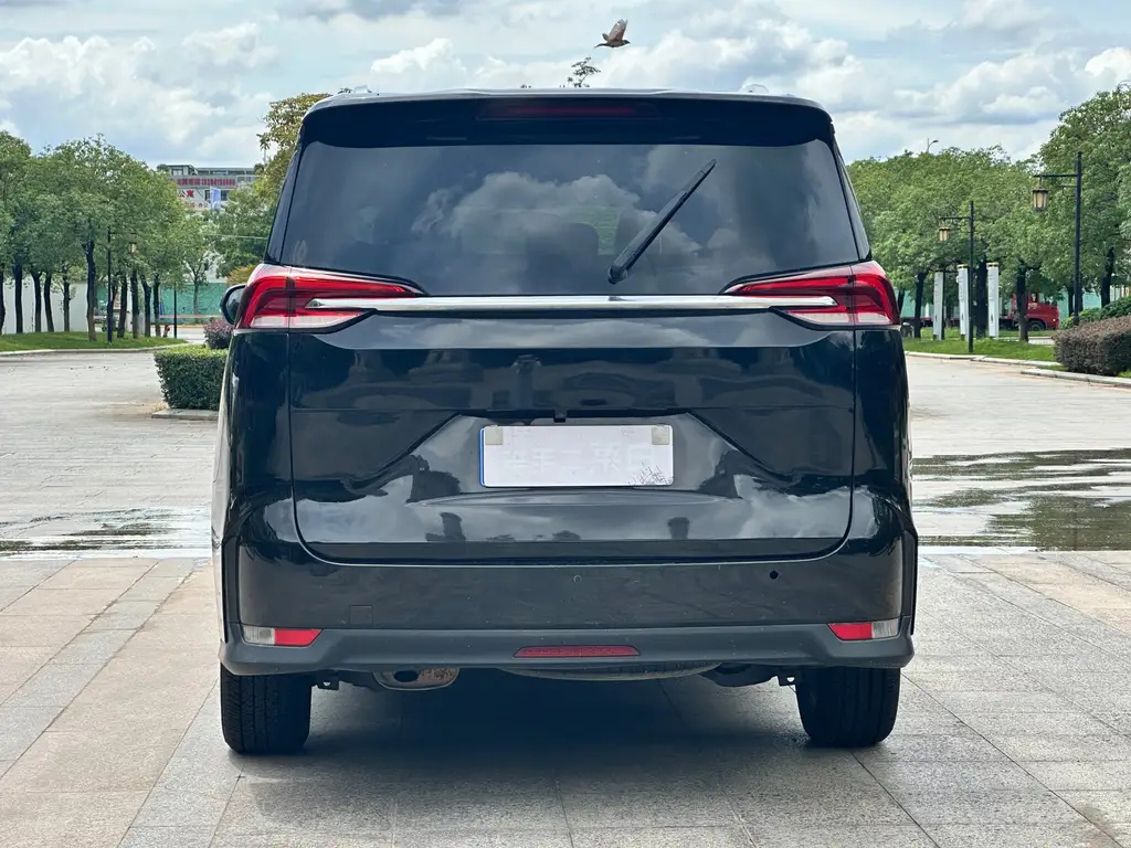 MAXUS OTHER 2019