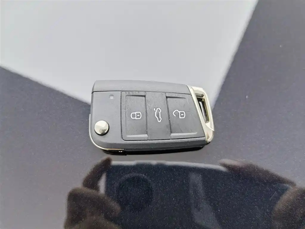 VOLKSWAGEN LAVIDA 2024