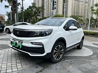 Заказать LIVAN 枫叶30X