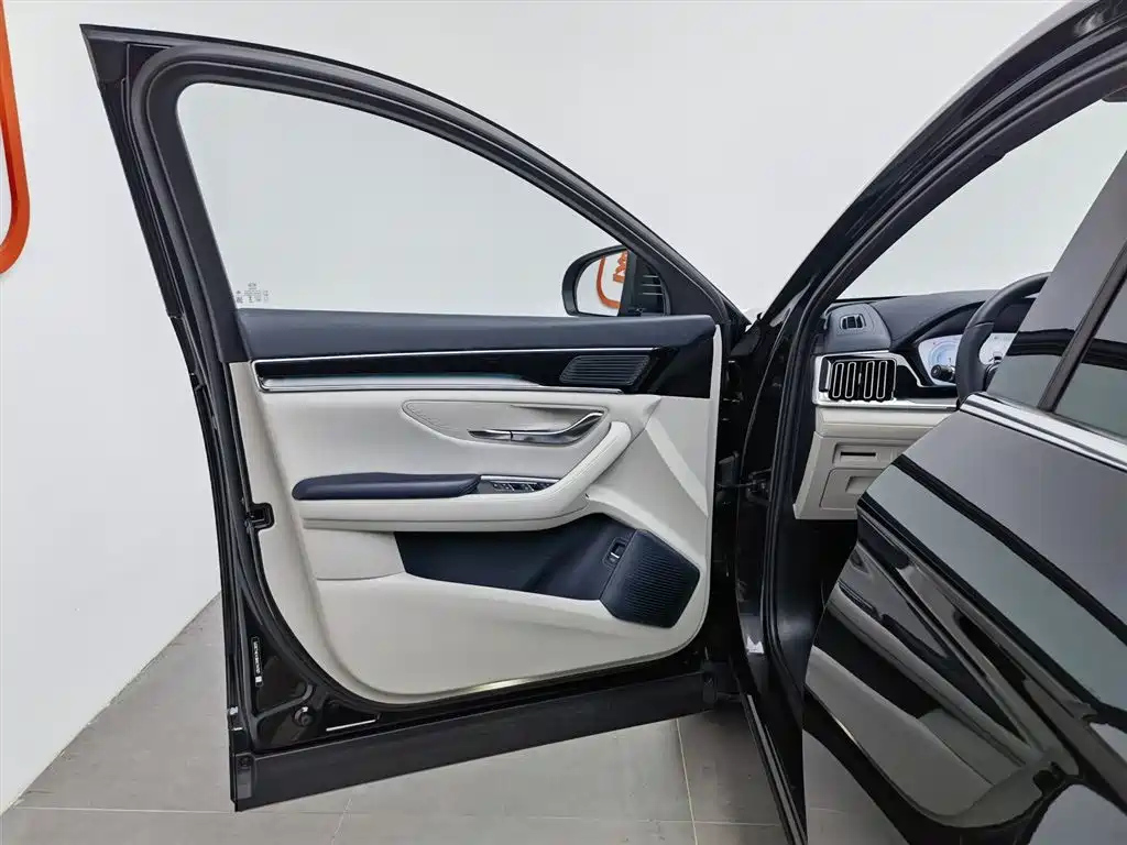 BYD SONG PLUS NEW ENERGY 2024