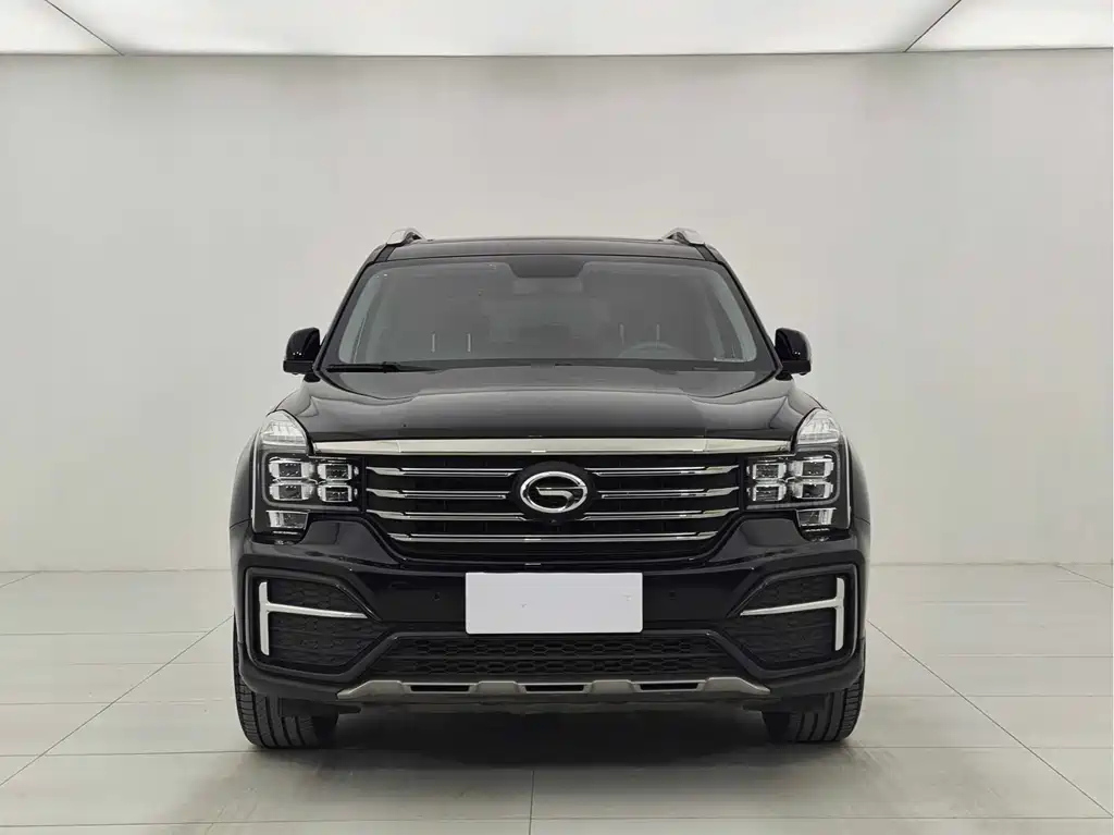 TRUMPCHI GS8 2020