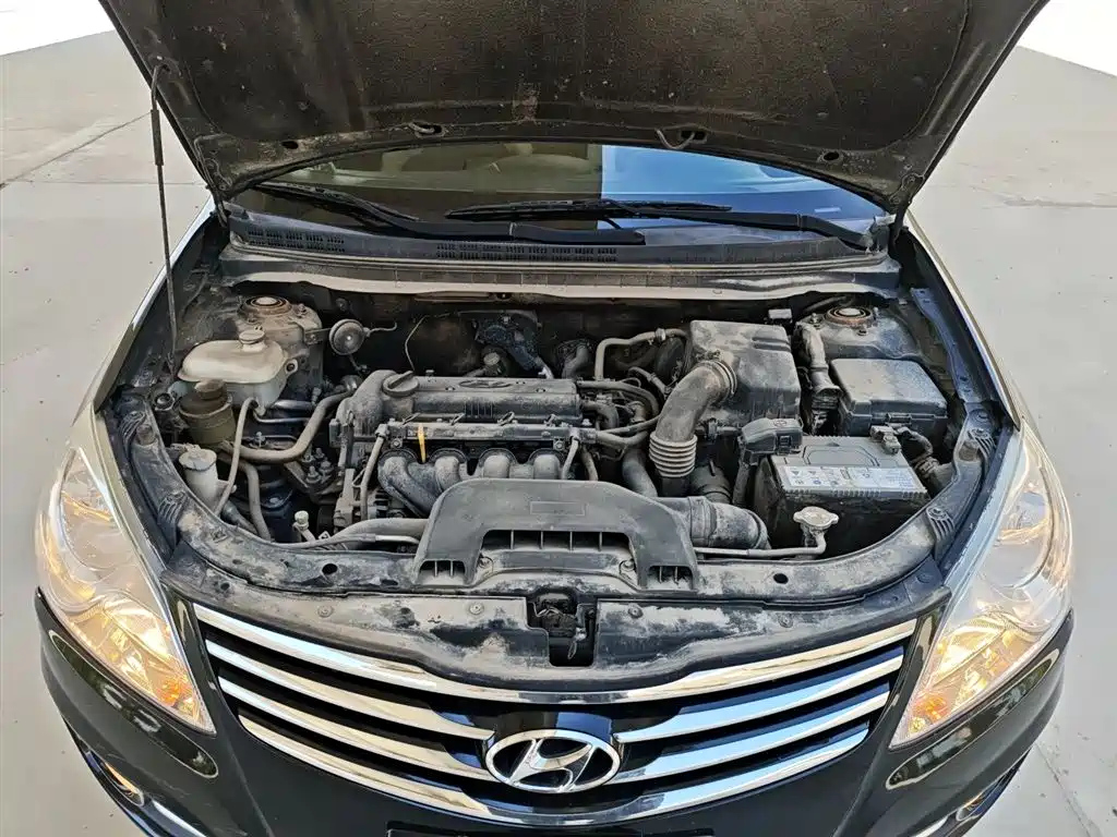 HYUNDAI CELESTA 2011