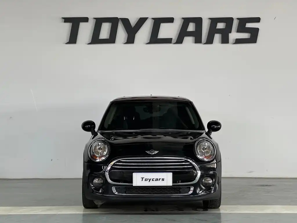 MINI OTHER 2016