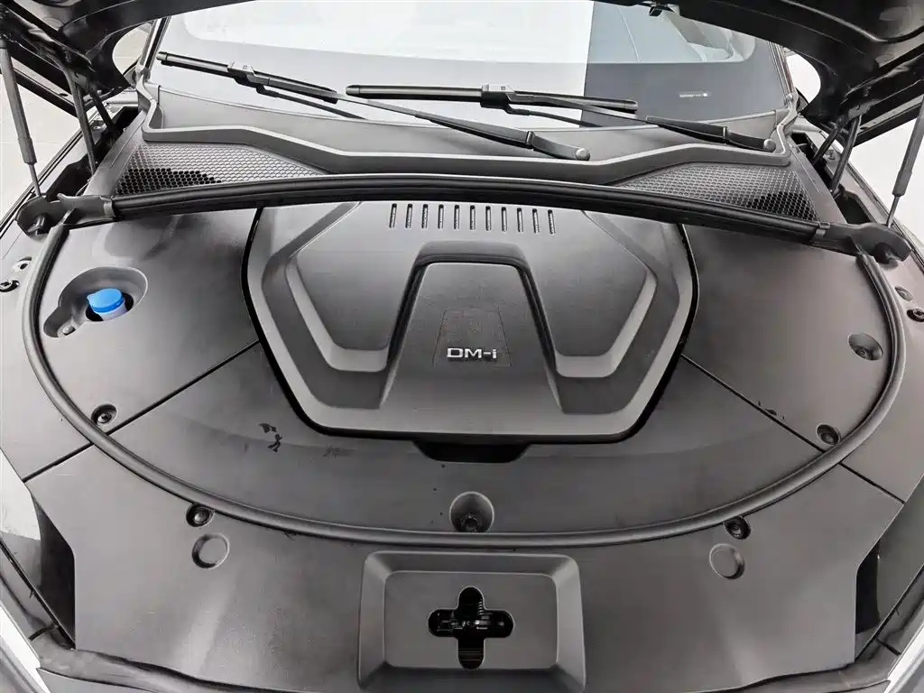 BYD SONG PLUS NEW ENERGY 2024
