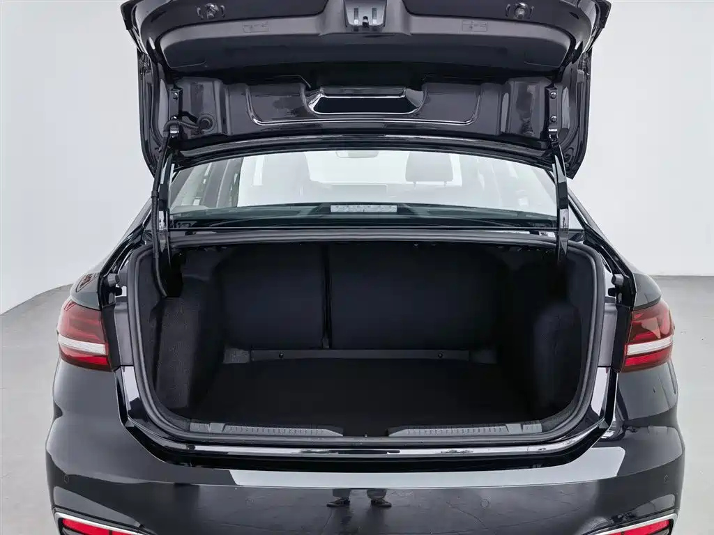 VOLKSWAGEN LAVIDA 2024