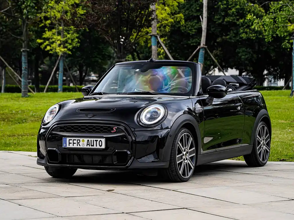 Аукционный лист MINI OTHER 2023