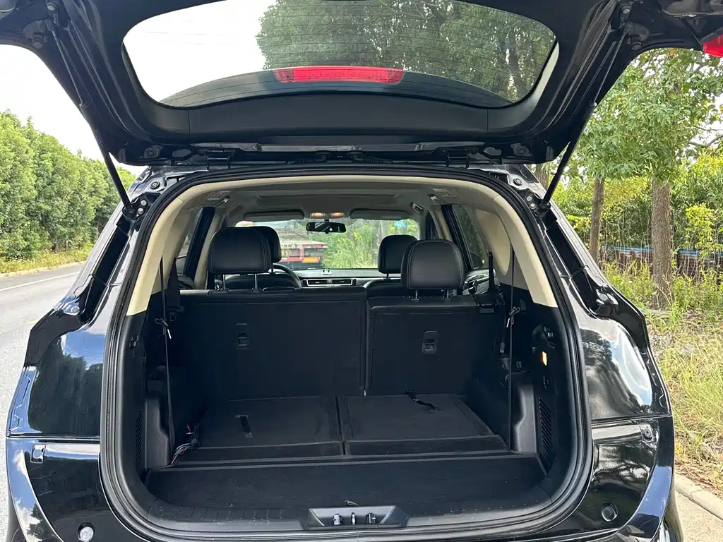 DONGFENG SCENERY 580 2020