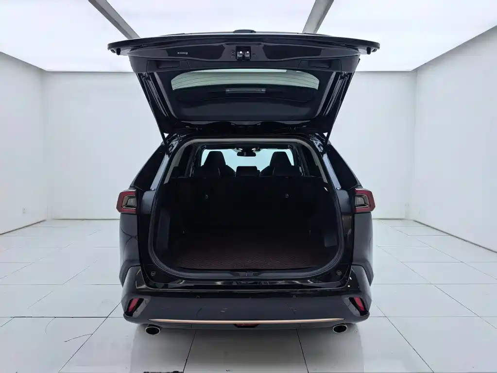 TOYOTA WILDLANDER 2024