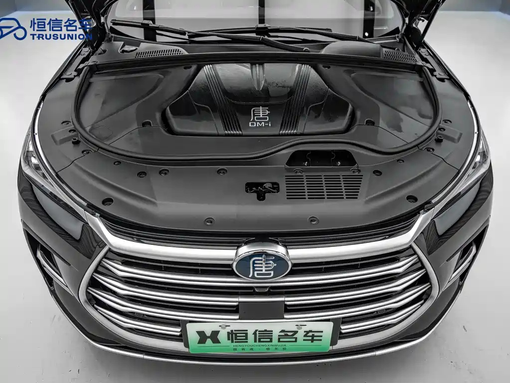 BYD TANG NEW ENERGY 2023