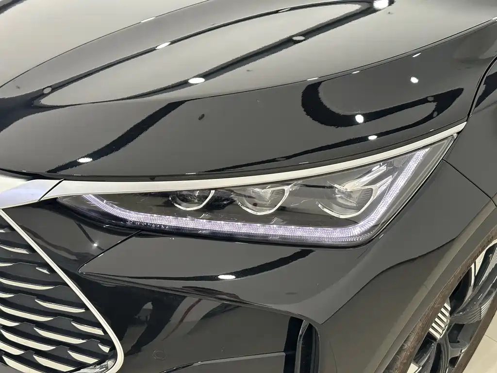 BYD TANG NEW ENERGY 2024