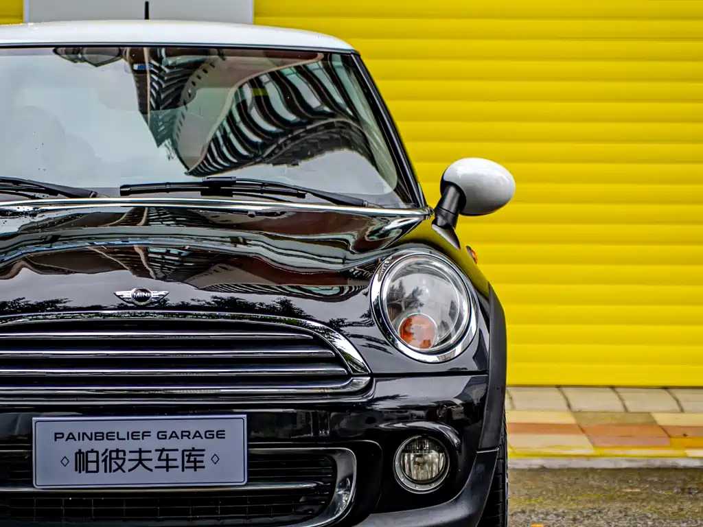 MINI OTHER 2013