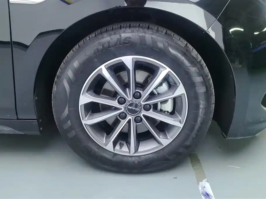 BYD DESTROYER 05 2024