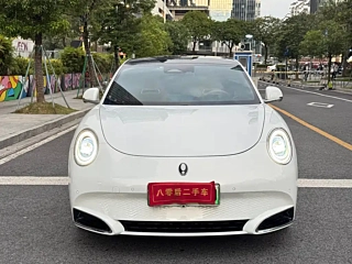 Заказать ORA LIGHTNING CAT