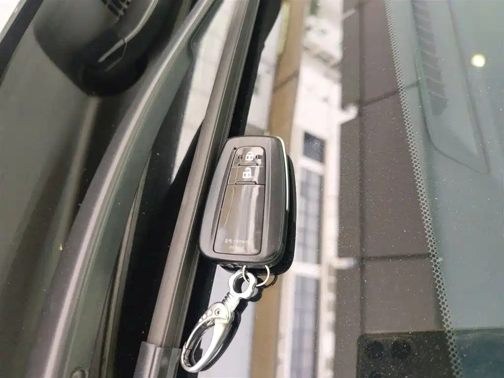 TOYOTA WILDLANDER 2022