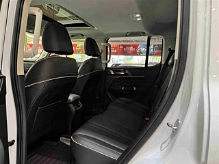 TANK 300 2021 YEAR EDITION 2.0T 2021