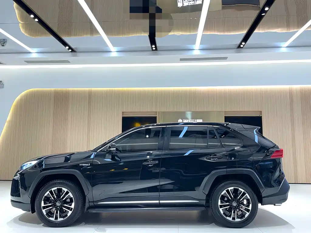 TOYOTA WILDLANDER 2020