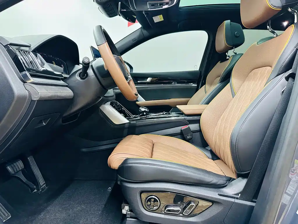BYD TANG NEW ENERGY 2021