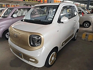 BESTURN PONY  2025