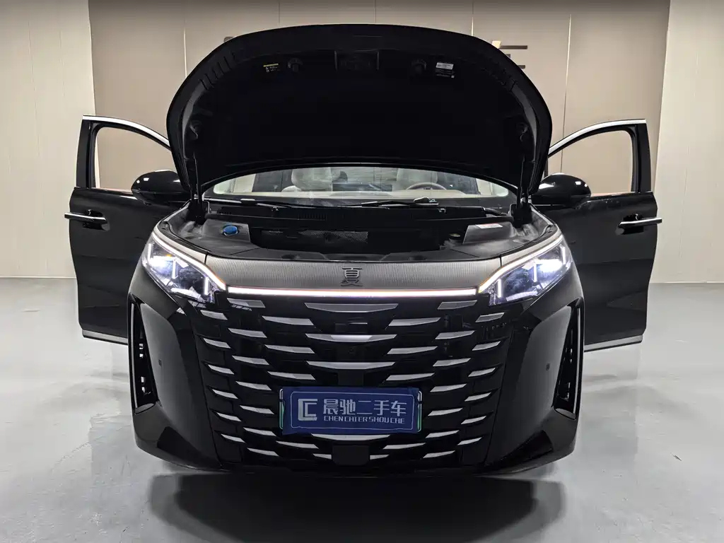 BYD OTHER 2025