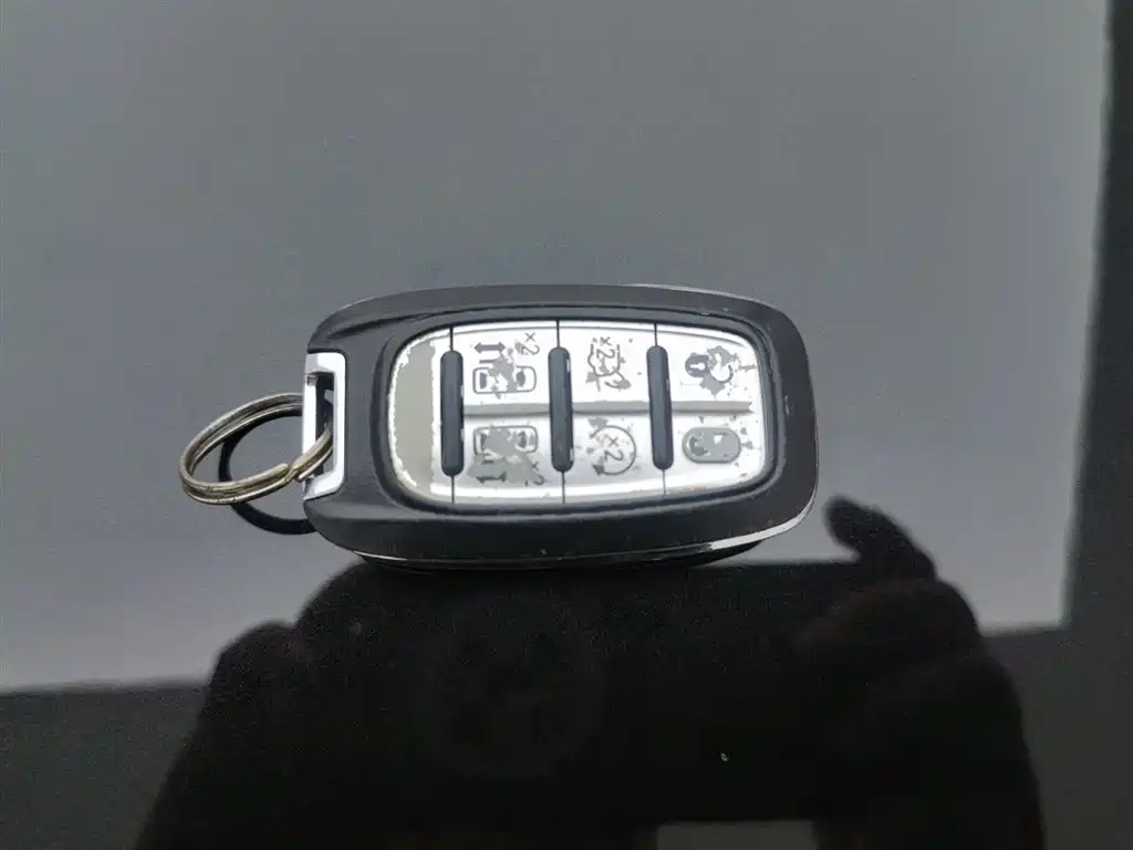 CHRYSLER BIG 捷龙 IMPORT 2018