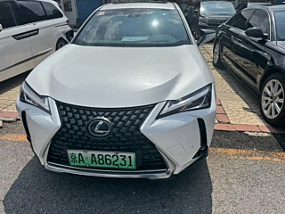 LEXUS UX NEW ENERGY  2020