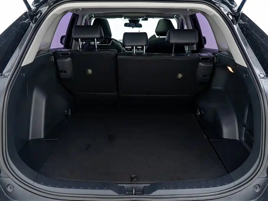 TOYOTA WILDLANDER 2021