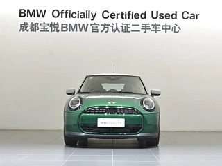 MINI OTHER  2025