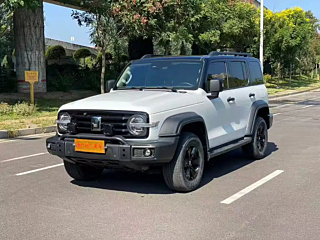 TANK 300  2021