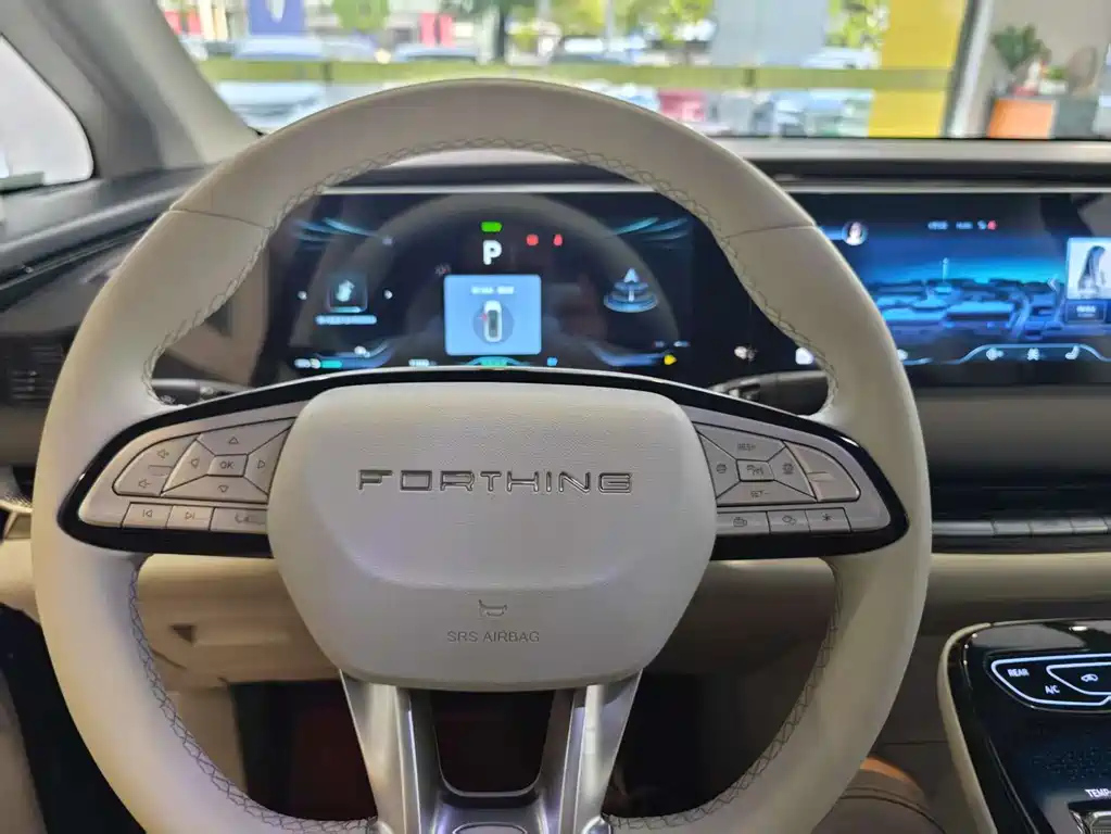 DONGFENG OTHER 2024