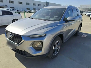 Заказать HAMA 8S