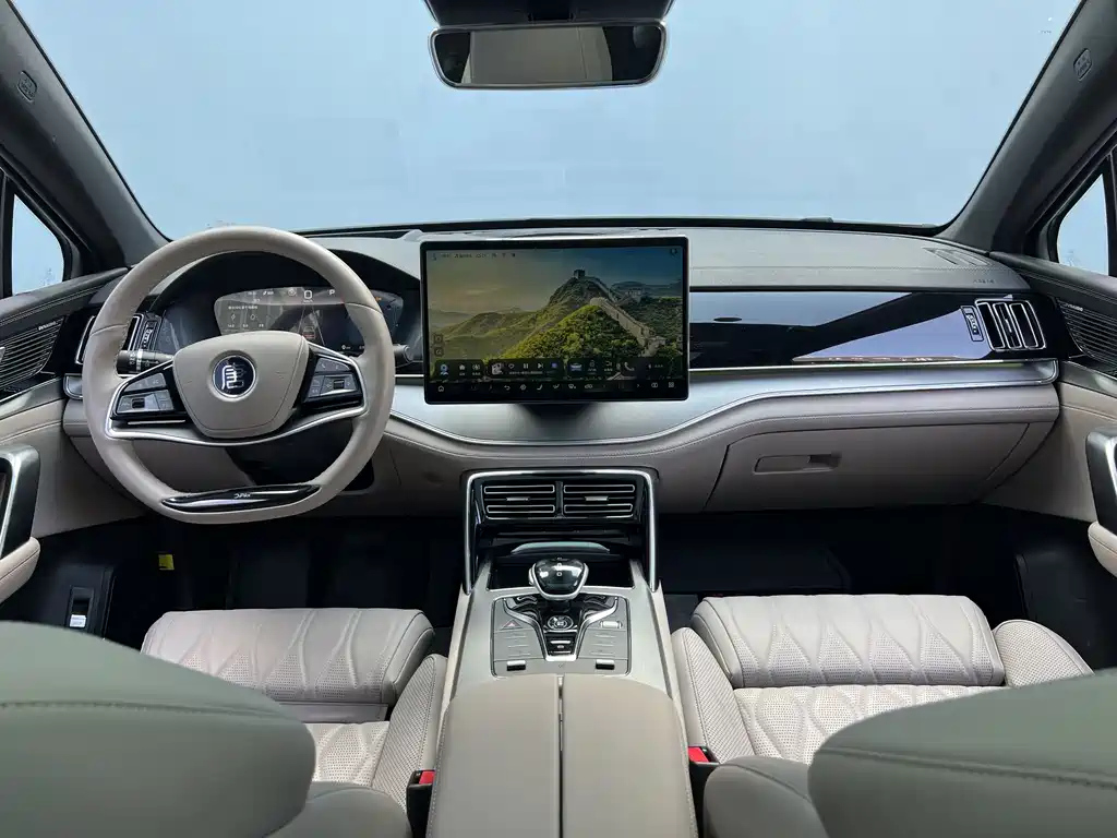 BYD TANG NEW ENERGY 2024