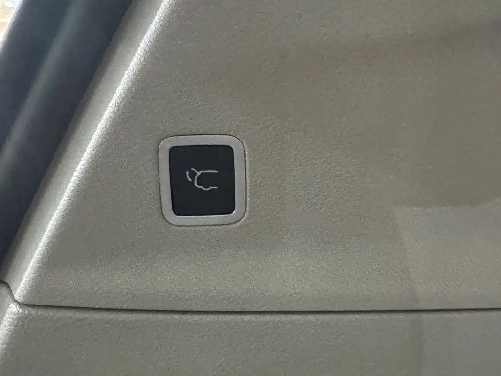 CHRYSLER BIG 捷龙 IMPORT 2019