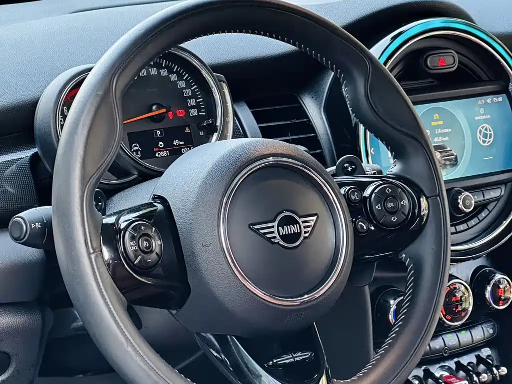 MINI OTHER 2020