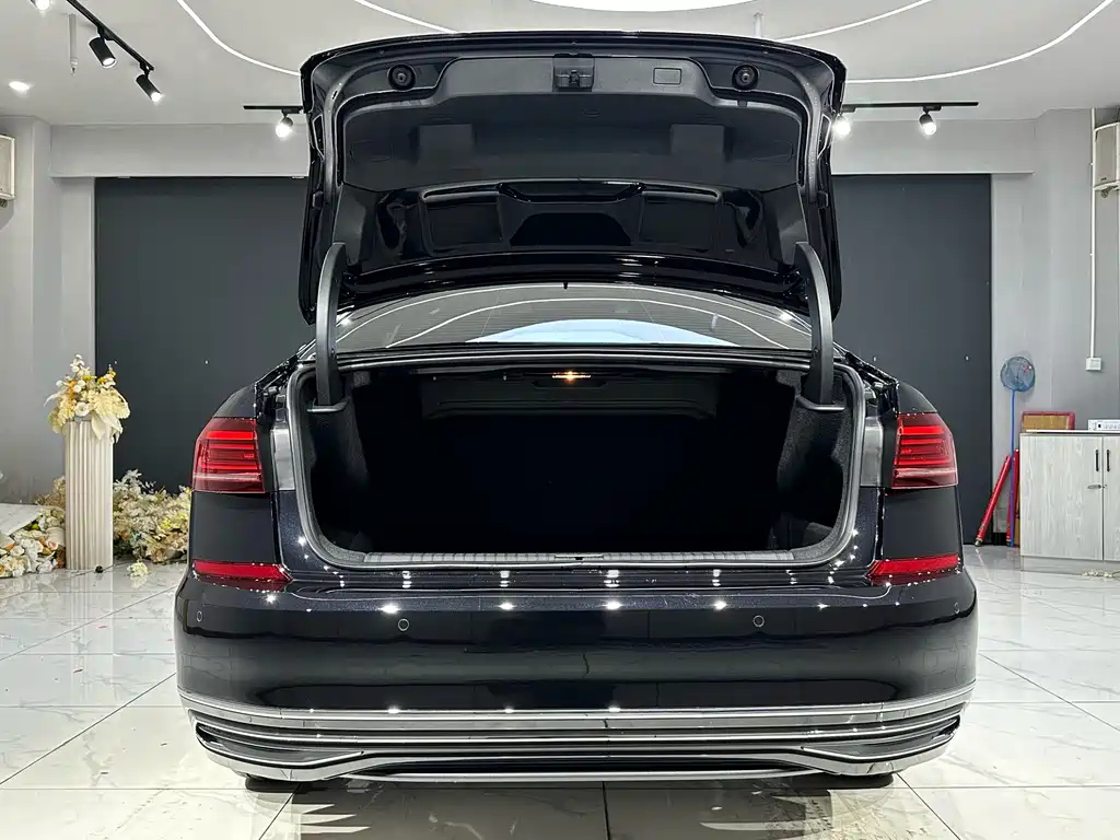 VOLKSWAGEN PASSAT 2025