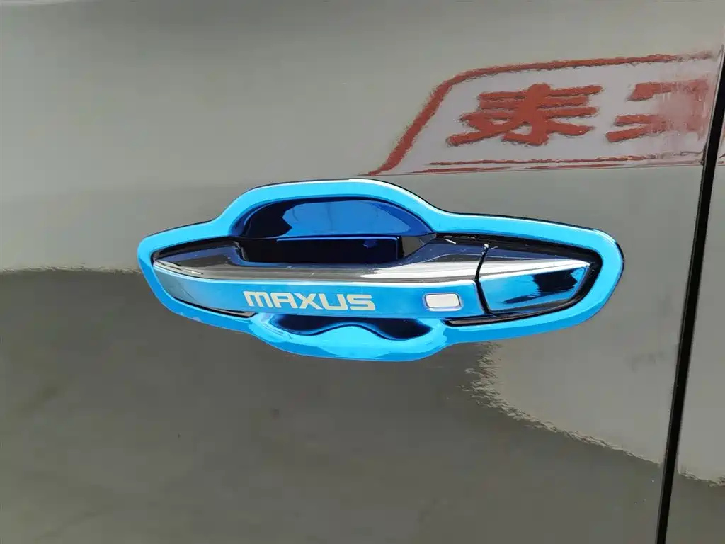 MAXUS OTHER 2020