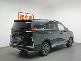 OTHER G50 PLUG IN HYBRID 2025