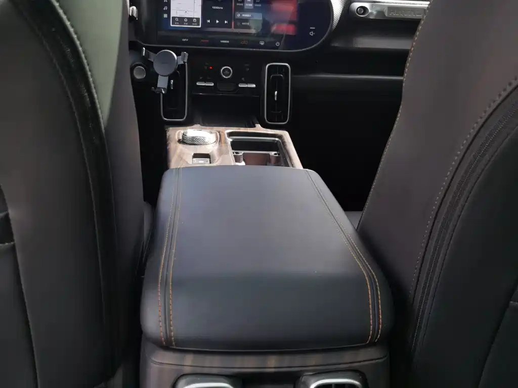 HAVAL BIG DOG 2024