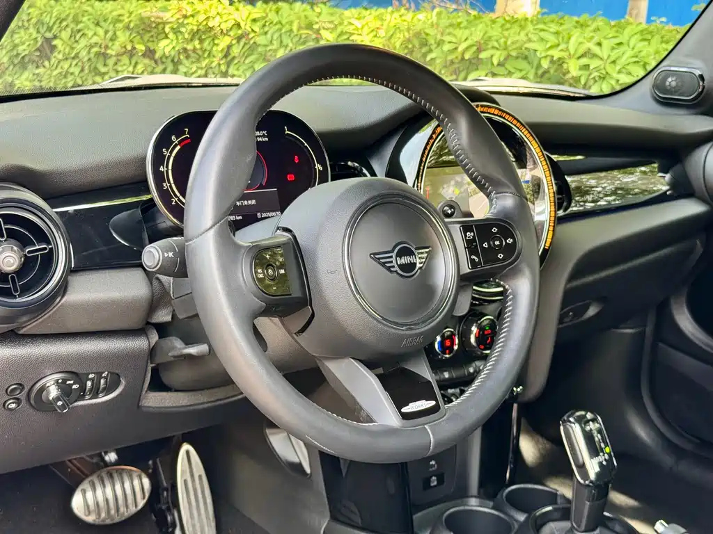 MINI OTHER 2023