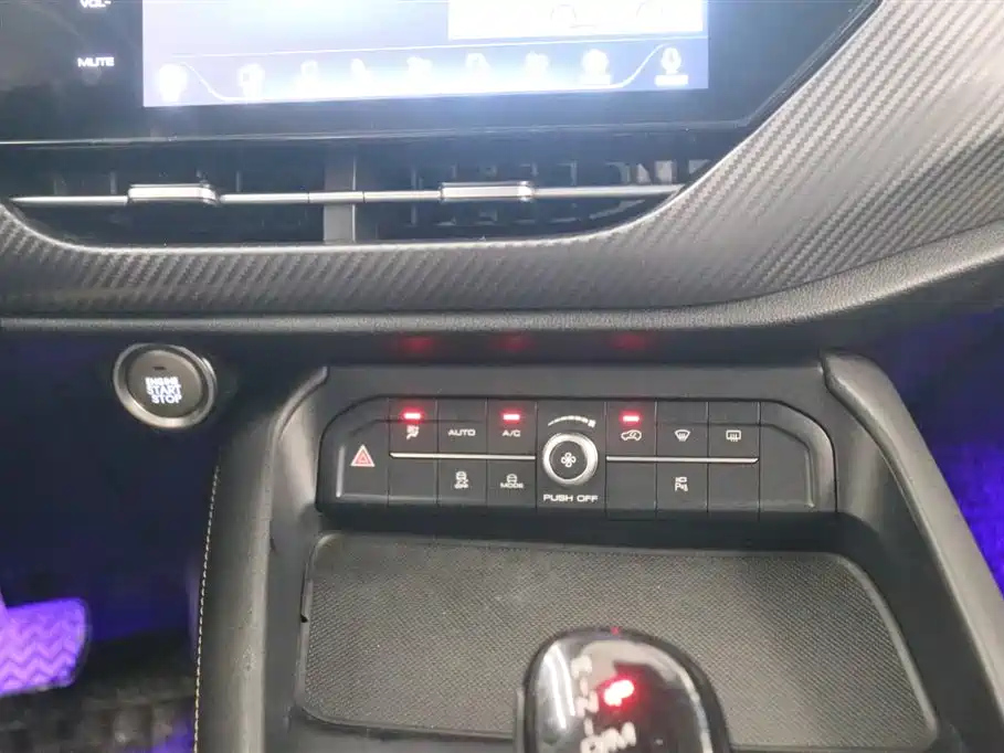 HAVAL F7X 2019