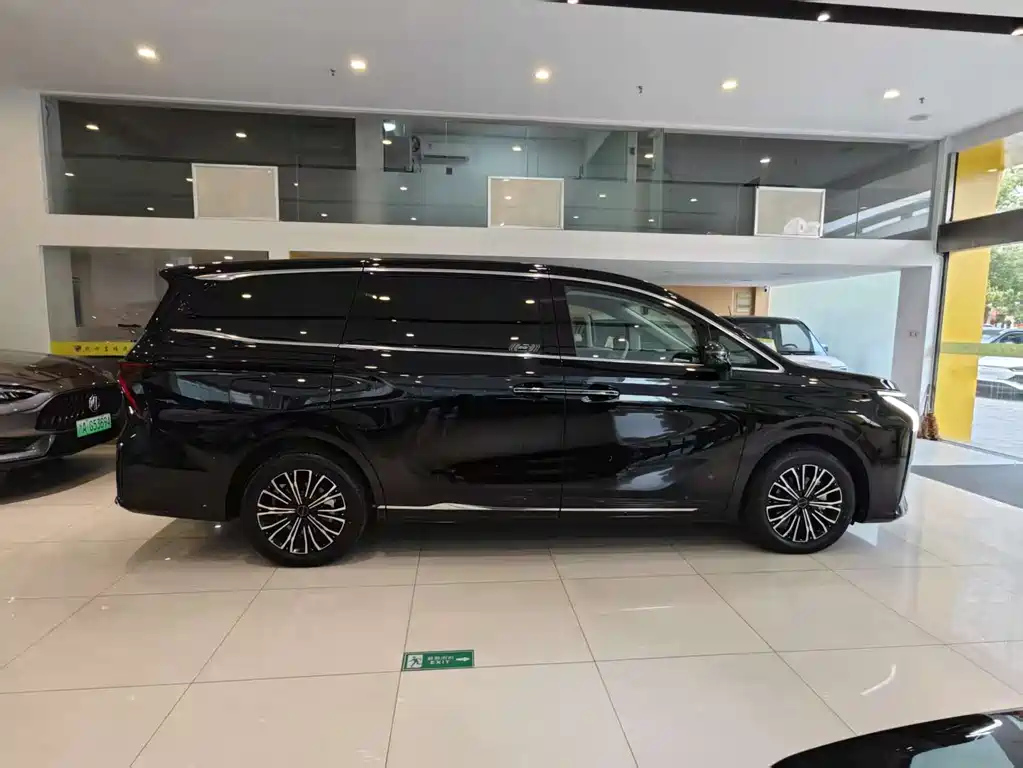 DONGFENG OTHER 2024