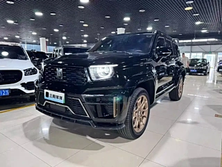 TANK 700 NEW ENERGY  2024 YEAR HI4-T  EDITION 2024