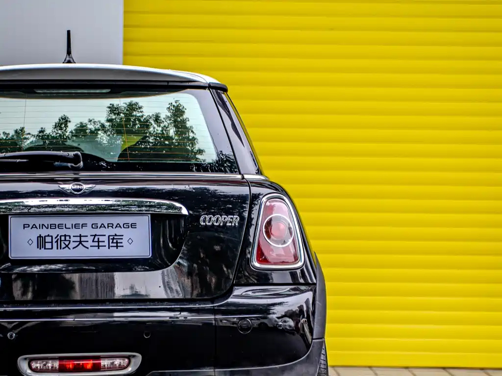 MINI OTHER 2013